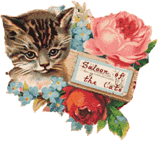 ◆Saloon of the Cats◆